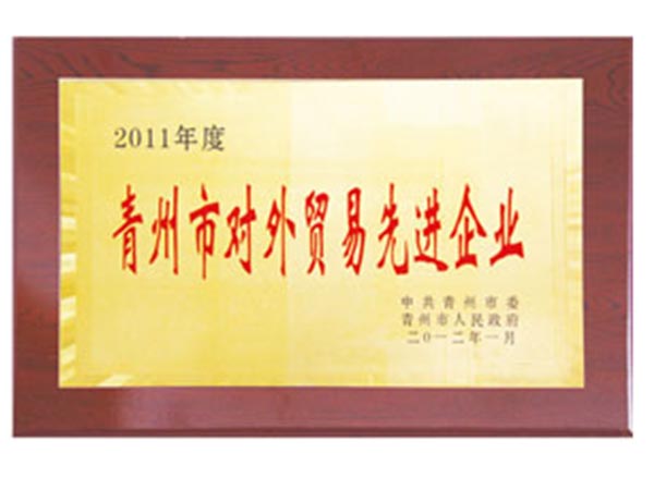 2011年度青州市對外貿(mào)易先進企業(yè).jpg